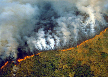 La selva de la Amazonia en Brasil arde a una velocidad récord
