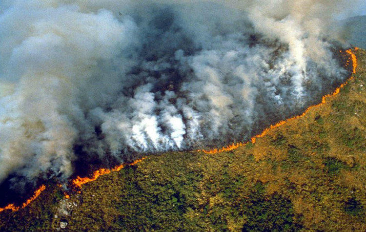La selva de la Amazonia en Brasil arde a una velocidad récord
