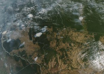 (VIDEO) Avanzan los incendios en el amazonas brasileño y boliviano