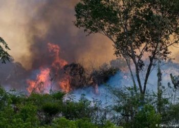 (VIDEO) Brasil inicia operativo militar para apagar incendios en el Amazonas