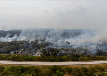 El fuego ya arrasó casi un millón de hectáreas en Bolivia