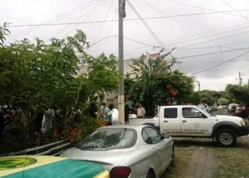 Bukele pide a jueces aplicar la ley a sujeto que mató a madre de 2 policías en Juayúa, Sonsonate