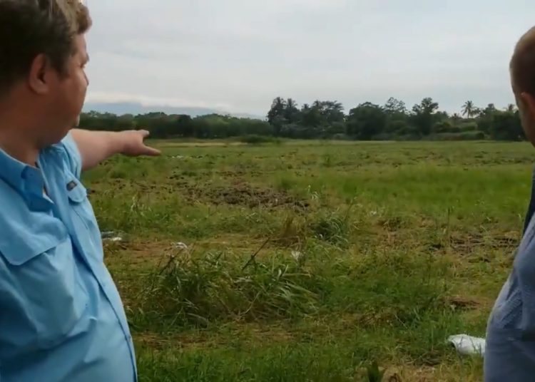 (VIDEO) Propiedad que fue usurpada por excombatientes producirá semilla para paquetes agrícolas del 2020