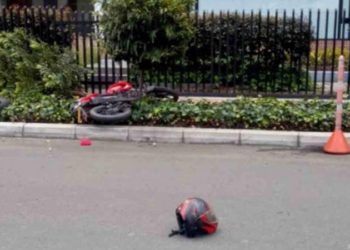 (VIDEO) Hombres roban banco y en la huida chocan contra un árbol