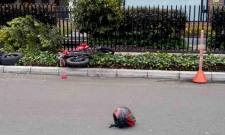(VIDEO) Hombres roban banco y en la huida chocan contra un árbol