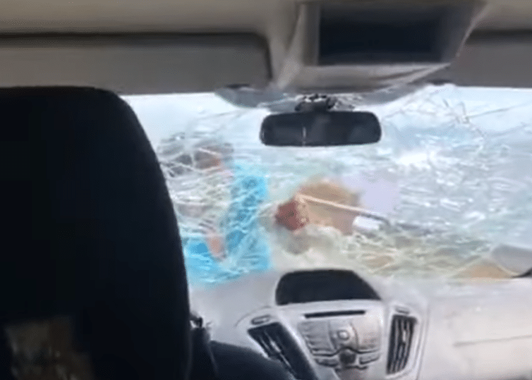 (VIDEO) Por pésimo servicio familia abandona restaurante, el dueño los ataca