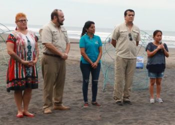 «Peces come plásticos» se van a encargar de mantener limpias las playas salvadoreñas