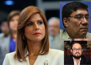 Políticos a favor de la CICIES