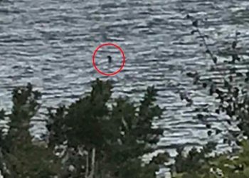 Reaparece el ‘Monstruo del Lago Ness’ y demuestra que no es un mito