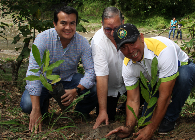 Reforestan río El Sillero de San José Guayabal