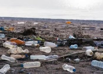 Imanes de carbono descomponen los microplásticos