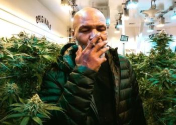 Mike Tyson asegura que fuma 40 mil dólares en marihuana al mes