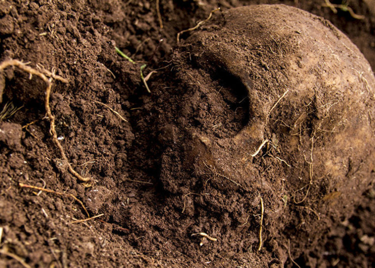 Los Zetas desaparecieron a centenares de personas en su “campo de exterminio” en Tamaulipas