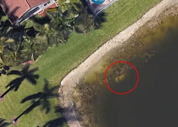 Los restos de un hombre desaparecido hace 22 años aparecen gracias a una imagen de Google Earth