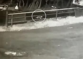 (VIDEO) Bebé cae de auto en movimiento y gatea peligrosamente al tráfico