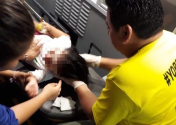 Perro pitbull muerde a una niña en Cuscatancingo