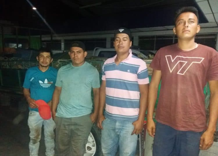Arrestan a hombres que talaban árboles en Quezaltepeque