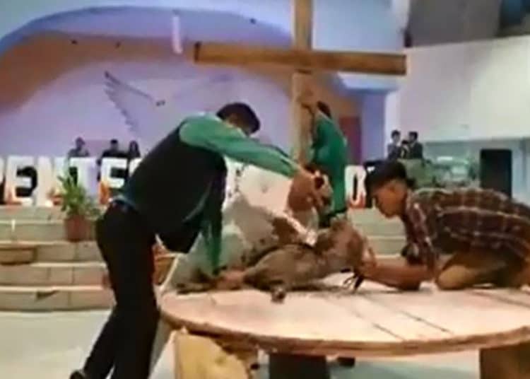 (VIDEO) Pastor evangélico sacrifica a una cabra para recrear la crucifixión en una iglesia de Honduras