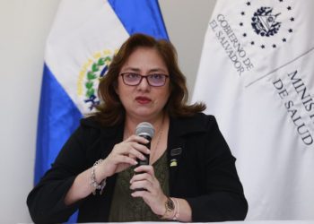 Ministra de Salud confirma 11 fallecidos por dengue