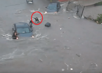 (VIDEO) Mujer es succionada por una alcantarilla en México