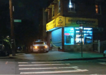 La policía de Nueva York hizo un rescate inesperado cuando perseguia a dos consumidores de marihuana