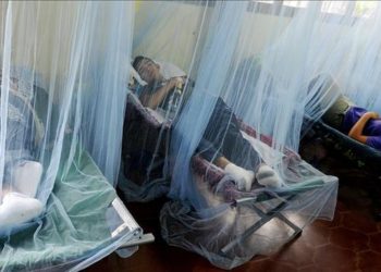 El número de muertos causado por el dengue hemorrágico se elevó a 144 en Honduras