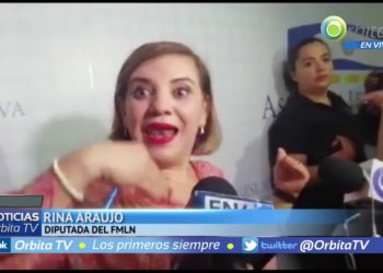 Diputada Araujo critica «mal comportamiento» de Francis Zablah en comisión de Medio Ambiente