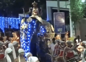 (VIDEO) Elefante huye al ser asustado y hiere a 18 personas en Sri Lanka