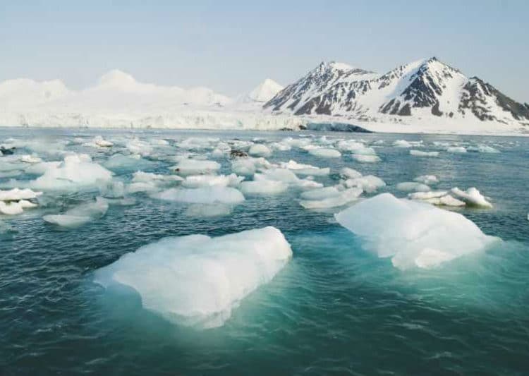 La Administración Trump abre a las petroleras el protegido Refugio del Ártico en Alaska