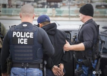 ICE detiene a 139 migrantes de 20 países durante distintas redadas en Florida