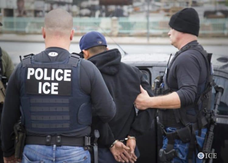 ICE detiene a 139 migrantes de 20 países durante distintas redadas en Florida