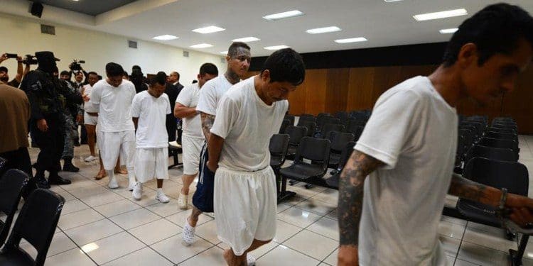 Enfrentarán juicio 263 pandilleros de “Operación Cuscatlán”