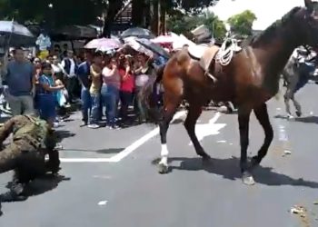 (VIDEO) Soldado se cae de caballo en desfile del 15 de septiembre