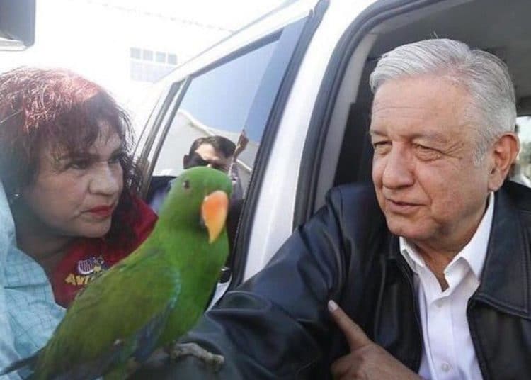 (VIDEO) El extraño regalo que le dan a AMLO cuando abordaba camioneta