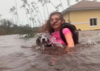 (VIDEO) Rescatan a tres perros de morir ahogados por inundaciones provocadas por huracán Dorian
