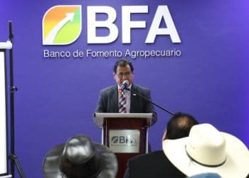 BFA lanza línea de crédito automática