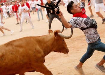 (VIDEO): Novillo lanza por los aires a un hombre como si fuera un muñeco de trapo
