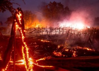 Evacuan a 10 mil personas de zona exclusiva de Los Ángeles por incendio