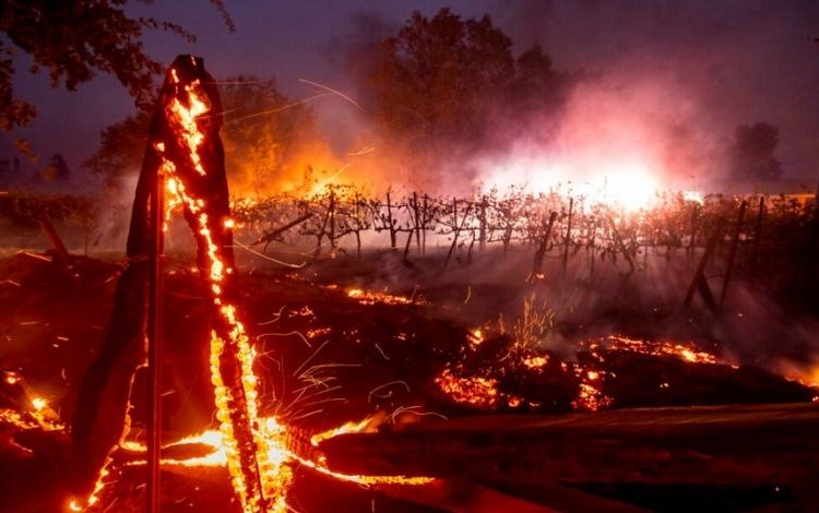 Evacuan a 10 mil personas de zona exclusiva de Los Ángeles por incendio