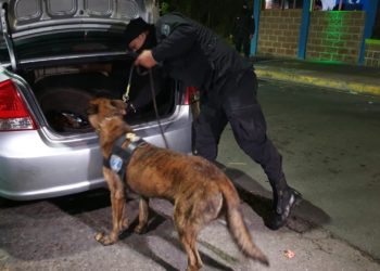 Desmantelan red de distribución de droga en Paseo El Carmen y El Cafetalón