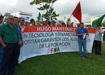 Agricultores piden al Gobierno apoyo por pérdidas en cosechas