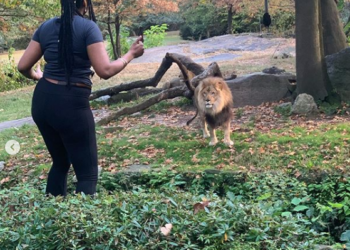 (VIDEO) Mujer ingresa al foso de un león en zoológico Nueva York y le baila