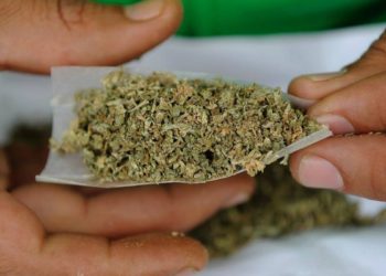 La policía pide a sujeto que deje de llamar al 911 por el robo de su marihuana