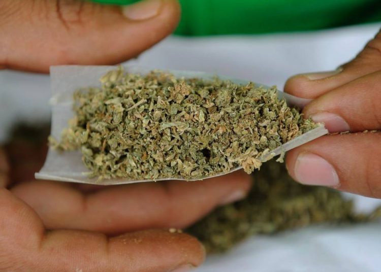 La policía pide a sujeto que deje de llamar al 911 por el robo de su marihuana