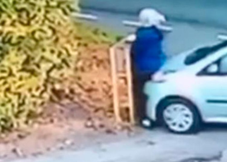 (VIDEO) Una mujer es atropellada por su propio auto al que se le olvidó ponerle el freno