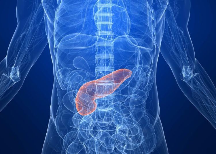 Científicos israelíes desarrollan un páncreas artificial para diabéticos