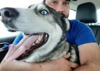 (VIDEO) Conmovedor encuentro de un perro y su dueño luego de 4 años de estar perdido