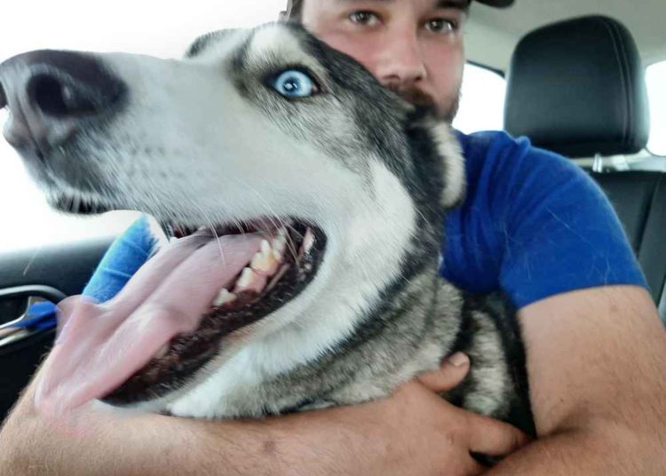 (VIDEO) Conmovedor encuentro de un perro y su dueño luego de 4 años de estar perdido