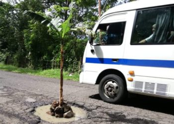 En reclamo al MOP, pobladores de Jocoaitique y Meanguera plantan huertas sobre los baches