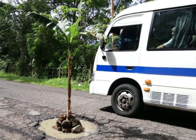 En reclamo al MOP, pobladores de Jocoaitique y Meanguera plantan huertas sobre los baches